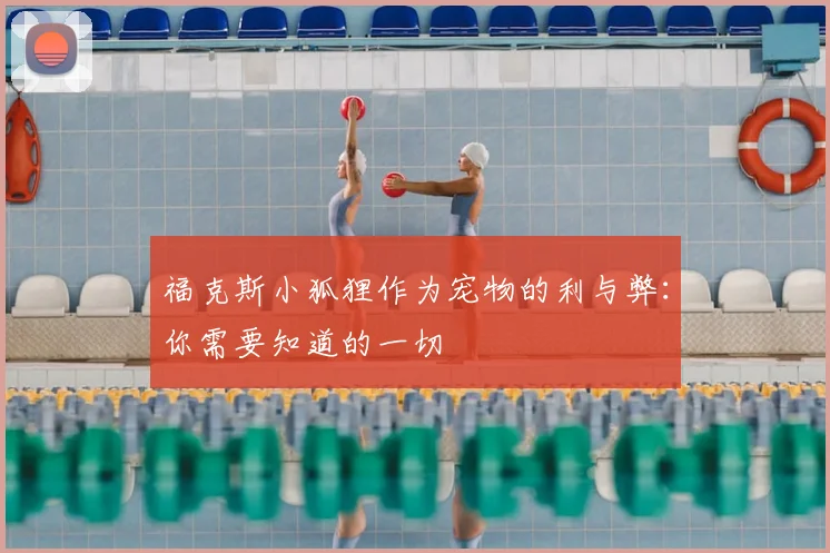 福克斯小狐狸作为宠物的利与弊：你需要知道的一切