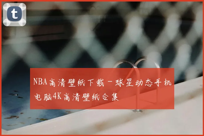 NBA高清壁纸下载 - 球星动态手机电脑4K高清壁纸合集