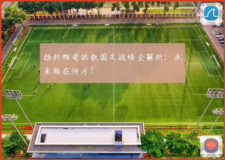 扬科维奇执教国足战绩全解析：未来路在何方？