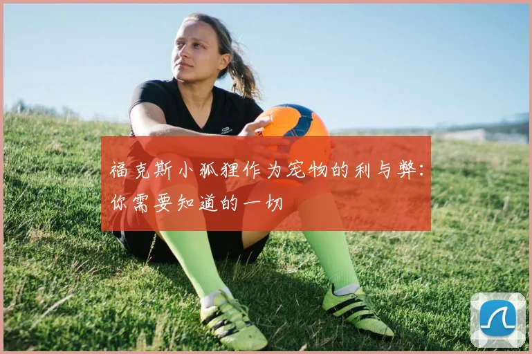 福克斯小狐狸作为宠物的利与弊：你需要知道的一切